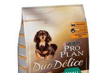 Pro Plan Duo Delice Small Breed Beef Köpek Maması
